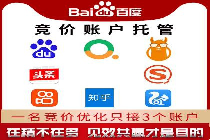 百度品牌专区推广：打造品牌形象的新途径